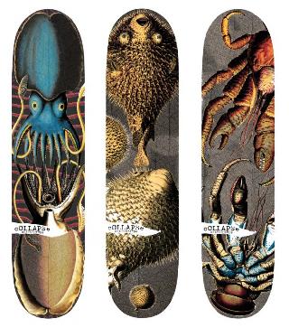 Pochoir De Skate Pour Fille Eugène Barricade